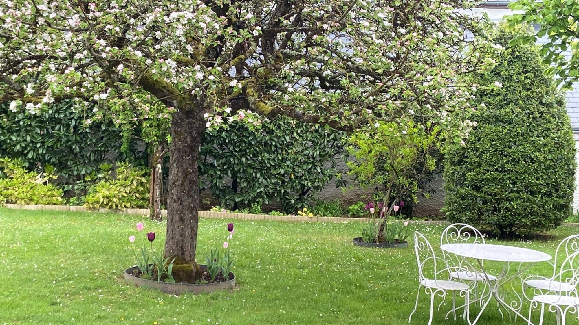 Hotel Le Hameau Du Moulin A Vent Saint-Avertin Zewnętrze zdjęcie